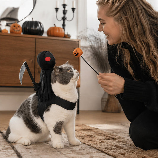 Halloween Cat Grim Reaper Cloak Costume with Mini Scythe