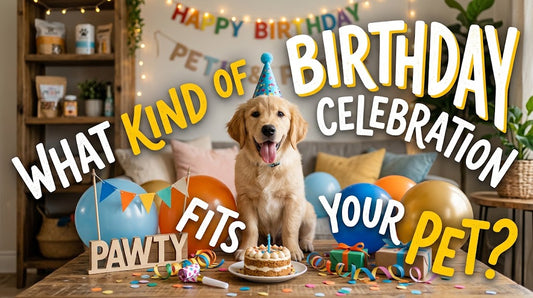 What Kind of Birthday Celebration Fits Your Pet?