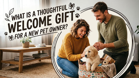 What Is a Thoughtful Welcome Gift for a New Pet Owner?
