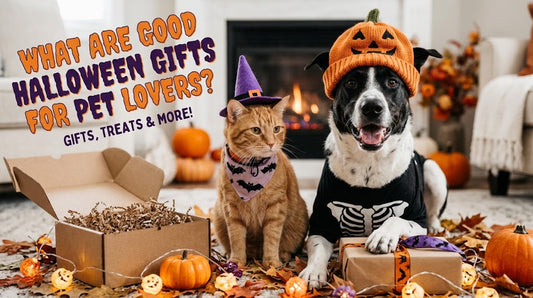 What Are Good Halloween Gifts for Pet Lovers?
