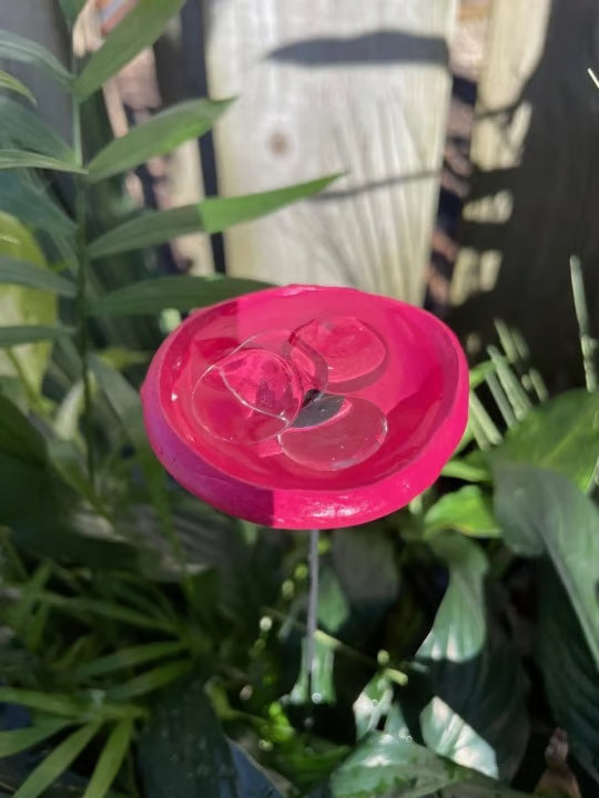 🐝LAST DAY 49% OFF - Bee Watering Station with Marbles, Butterfly Puddler, Hummingbird Drinking Cups💧