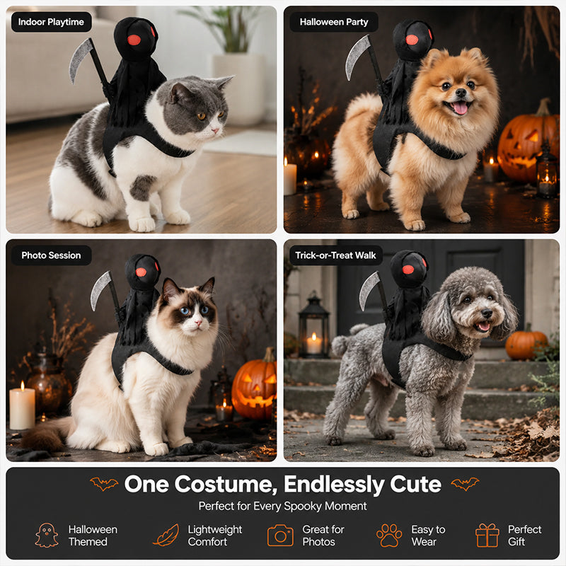 Halloween Cat Grim Reaper Cloak Costume with Mini Scythe