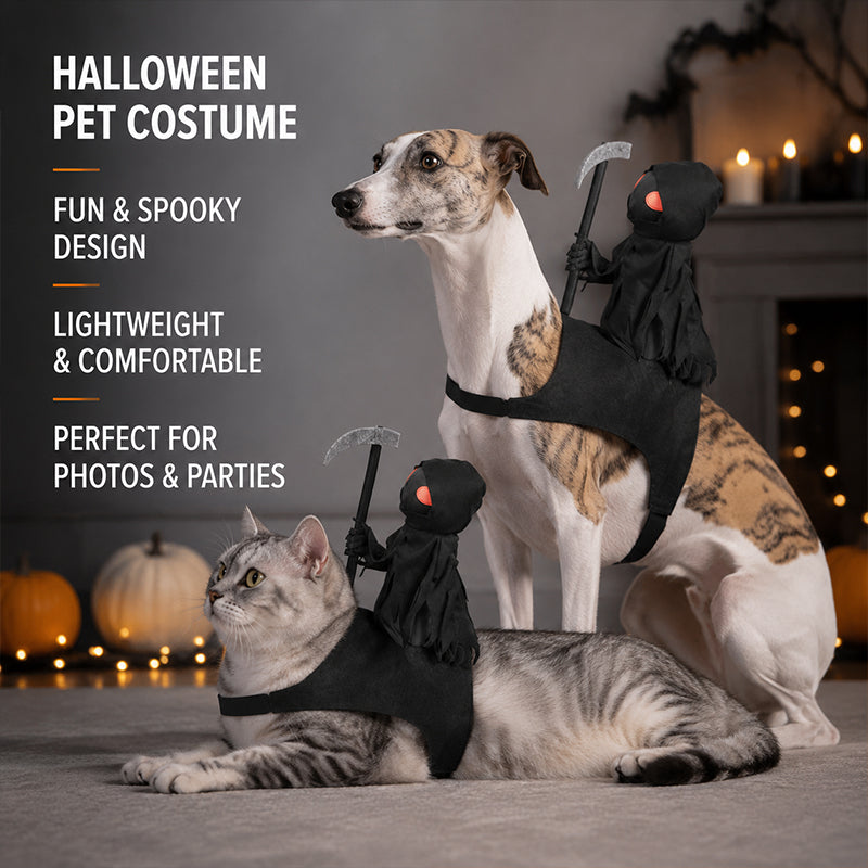 Halloween Cat Grim Reaper Cloak Costume with Mini Scythe